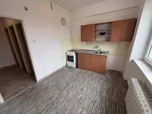 Pronájem bytu 1+1, Ostrava - Moravská Ostrava, Slavíčkova, 37 m2