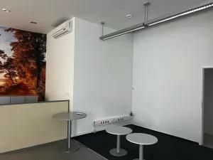 Pronájem obchodního prostoru, Roztoky, Lidická, 140 m2