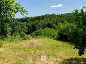 Prodej zahrady, Střelice, 931 m2