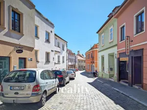 Prodej rodinného domu, Znojmo, Dolní Česká, 429 m2