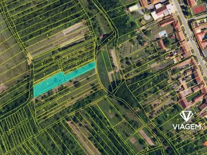 Prodej zahrady, Milešovice, 1698 m2