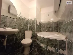 Pronájem bytu 3+kk, Láz, 57 m2