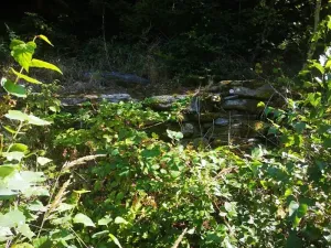 Prodej pozemku, Klatovy, 407 m2