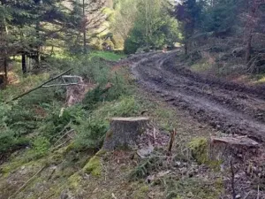 Prodej lesa, Žihobce, 802 m2