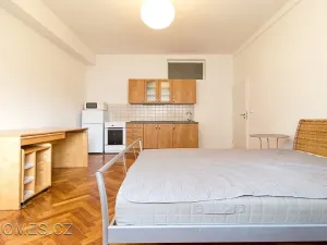 Pronájem bytu 1+kk, Praha - Vršovice, Tolstého, 30 m2