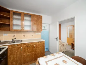 Pronájem bytu 1+1, Ostrava, Gen. Hrušky, 36 m2