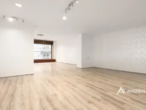 Prodej obchodního prostoru, Brno, Masarykova, 494 m2