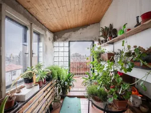 Prodej rodinného domu, Třebusice, 470 m2