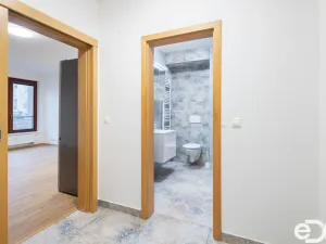 Pronájem bytu 1+kk, Praha - Podolí, Jeremenkova, 42 m2