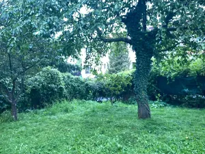 Prodej bytu 2+kk, Praha - Michle, Vnější, 55 m2