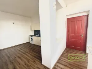 Pronájem bytu 3+kk, Praha - Žižkov, Vlkova, 56 m2