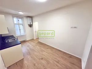 Pronájem bytu 2+kk, Praha - Žižkov, Vlkova, 39 m2