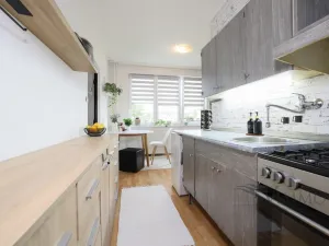 Pronájem bytu 1+1, České Budějovice, Josefy Kolářové, 41 m2