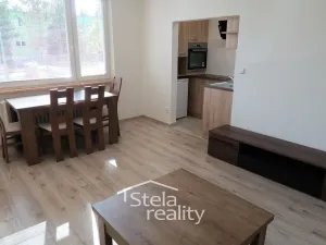 Pronájem bytu 1+kk, Bruntál, Cihelní, 29 m2