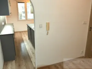 Pronájem bytu 2+1, Plzeň, Dvořákova, 62 m2