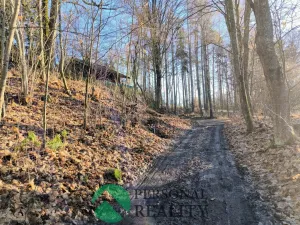 Pronájem chalupy, Planá - Vysoké Sedliště, 90 m2