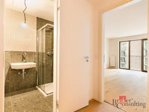 Pronájem bytu 1+kk, Brno - Zábrdovice, Bratislavská, 38 m2