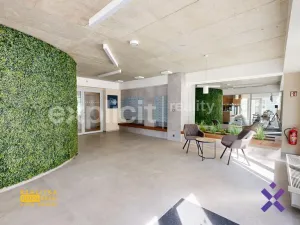 Pronájem bytu 1+kk, Zlín, Nad Stráněmi, 41 m2