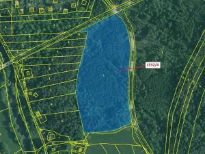 Dražba lesa, Římov, 34065 m2