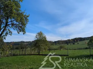 Prodej pozemku, Volenice, 1966 m2