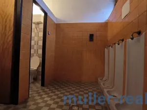 Prodej komerční, Žichovice, 753 m2