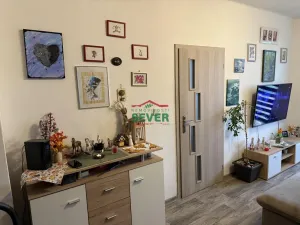 Prodej bytu 3+1, Žatec, Hájkova, 61 m2