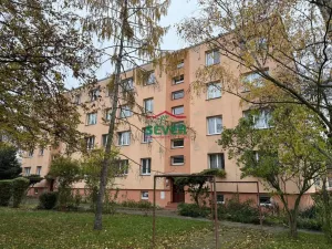 Prodej bytu 3+1, Žatec, Hájkova, 61 m2