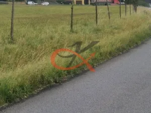 Prodej pozemku pro bydlení, Větřkovice, 4626 m2