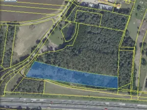 Prodej lesa, Kostelní Lhota, 9438 m2