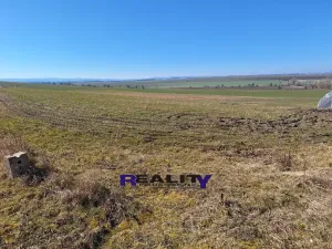 Prodej rodinného domu, Žatec - Milčeves, 205 m2