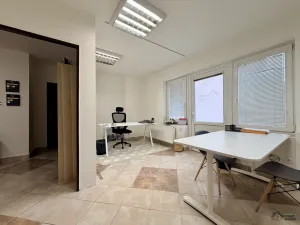 Pronájem kanceláře, Ostrava - Moravská Ostrava, Vítkovická, 39 m2