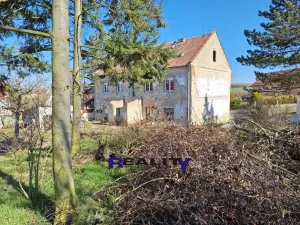 Prodej pozemku pro bydlení, Žatec - Milčeves, 4163 m2