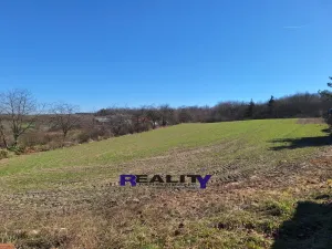 Prodej pozemku pro bydlení, Podbořany, 4588 m2