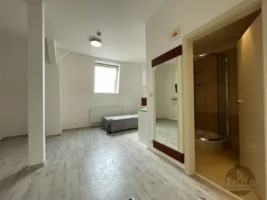 Pronájem bytu 1+kk, Praha - Žižkov, Prokopova, 24 m2