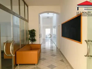 Pronájem kanceláře, Brno, Orlí, 171 m2