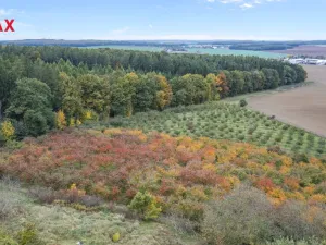 Prodej pozemku pro bydlení, Těchlovice, 24402 m2