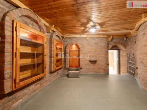 Pronájem obchodního prostoru, Mladá Boleslav - Mladá Boleslav III, Viničná, 107 m2