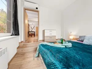 Prodej bytu 2+kk, Černý Důl - Čistá v Krkonoších, 44 m2