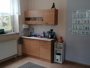 Pronájem komerční nemovitosti, Pardubice - Zelené Předměstí, nábřeží Závodu míru, 15 m2