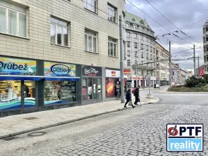 Pronájem obchodního prostoru, Plzeň, Goethova, 33 m2
