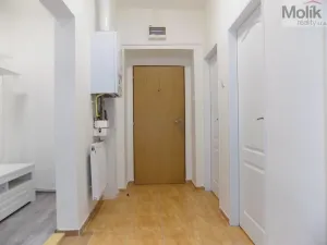 Pronájem bytu 2+1, Teplice, U Hadích lázní, 53 m2