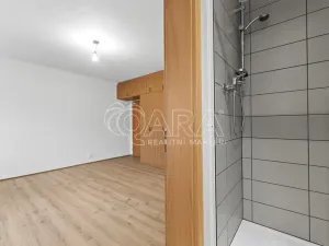 Pronájem bytu 4+1, Praha - Nové Město, Černá, 106 m2