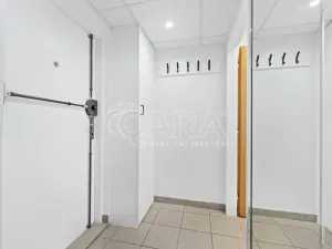 Pronájem bytu 4+1, Praha - Nové Město, Černá, 106 m2