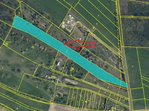 Prodej lesa, Bechlín, 10785 m2