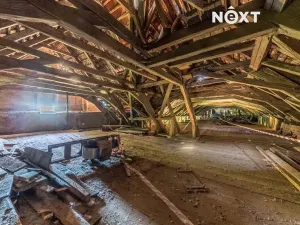 Prodej komerční nemovitosti, Buzice, 1800 m2