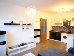 Pronájem bytu 2+kk, České Budějovice, Papírenská, 38 m2