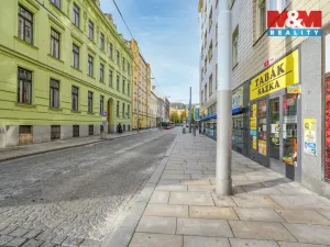 Pronájem obchodního prostoru, Plzeň - Jižní Předměstí, Goethova, 33 m2