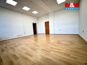 Pronájem kanceláře, České Budějovice - České Budějovice 3, K. Světlé, 35 m2