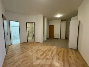 Pronájem bytu 4+kk, Brno, 120 m2