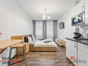 Prodej ubytování, Broumov, Malé náměstí, 298 m2